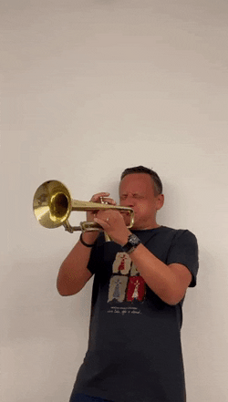 Notti Bop Played In Brass Orchestra GIF