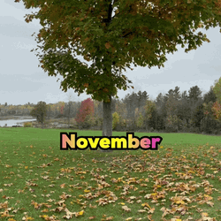 November Text Design Autumn Falling Leaves