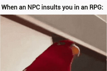 Npc Insulting RPG Bird Meme GIF