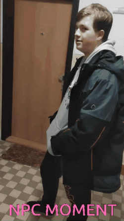 Npc Moment Knocking Aimlessly GIF