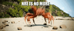 Nre Is No More Crab Rave GIF