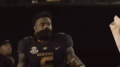 NS Train GIF