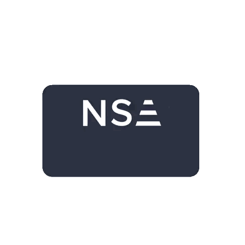 NSE Online Logo With Mouse Arrow Sticker