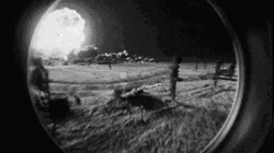Nuclear Bomb Bursting Impact GIF