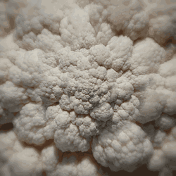 Nuclear Explosion Zoom In GIF