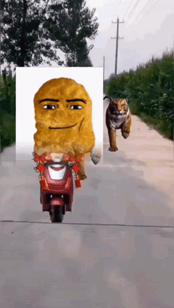 Nugget Riding A Bike Meme GIF