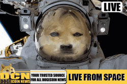 Nuke It From Orbit Live DCN GIF