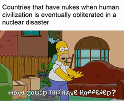Nukie Simpsons Homer Meme GIF