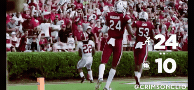 Number 24 On Football Player Back GIF