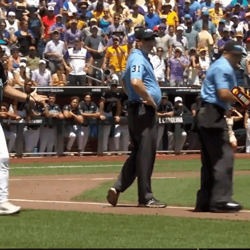 Number 31 on Baseball Umpire Back