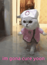 Nurse Cat I'm Gonna Cure Yoon GIF