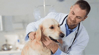 Nurses And Doctor Posing And Smiling GIF