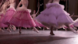 Nutcracker Ballet Waltz Of Flower  GIF