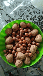 Nuts In The Bowl GIF