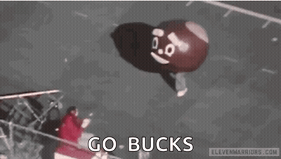 Nutsack Balloon With Face Flying GIF