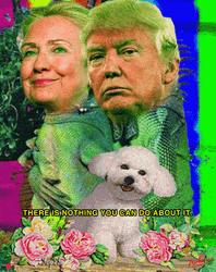 Nwo Donald Trump Hilary Clinton Tandem Meme GIF