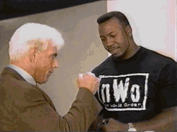 Nwo Secret Hand Shake WWE GIF