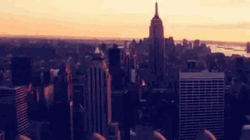 NYC Skyline Night Lights GIF