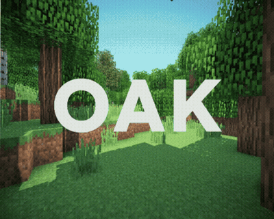 Oak Word In Minecraft Scene GIF