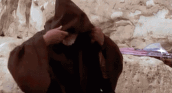 Obi Wan Kenobi Old Man Hello There GIF