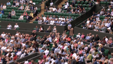 Obj One Handed Catch By The Audience GIF