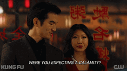 Obviously Asian Pair Kung Fu GIF