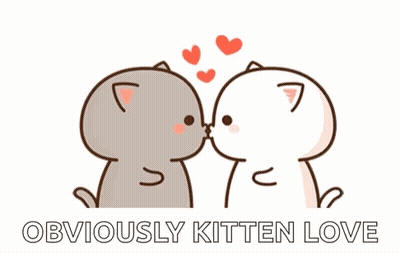 Obviously Kitten Love Cats Hearts GIF
