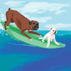 Ocean Surfing Board Dog Meme GIF