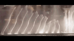 Oceans Fountain Las Vegas GIF
