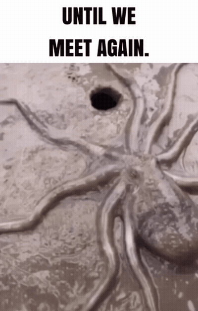 Octopus In Mud Saying Until We Meet Again GIF