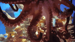 Octopus Incredible Testicles Bottom View  GIF