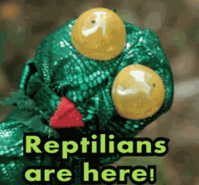 Octopus Laying On Sand Saying Edi Black GIF