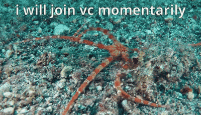 Octopus Saying I Will Join VC Momentarily GIF