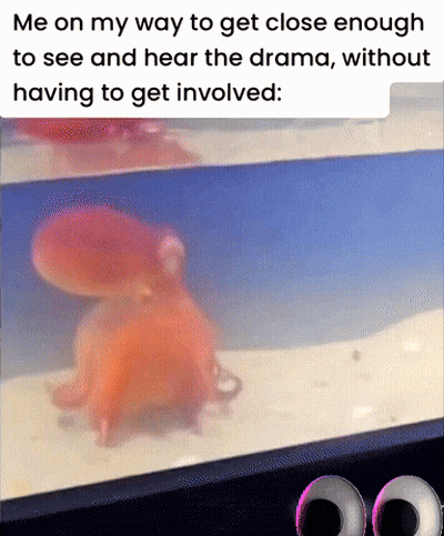 Octopus Swimming In Tank Saying Me On My Way To Get Close Enough GIF