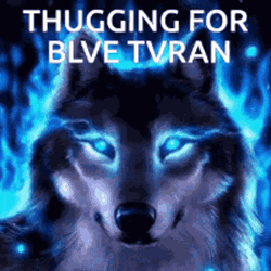 Oddstania Turan GIF