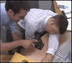 Office Fail April Fools Sleep GIF