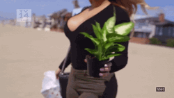Office Girl Holding A Plant