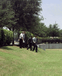 Office Space Milton And Workmates Going Down GIF