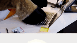Office Working Goat Mascot GIF