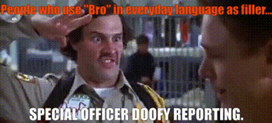 Officer Doofy People Use Bro Every Day GIF