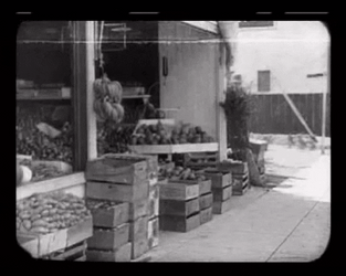 Officer Man Slip On Greengrocer GIF