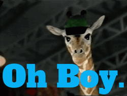 Oh Boy Animal Talking Giraffe GIF