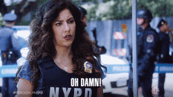 Oh Damn Detective Rosa Diaz GIF