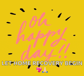 Oh Happy Day Greetings GIF
