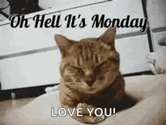 Oh Hell Its Monday Monday Love You GIF