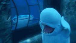 Oh Hell No Finding Dory GIF