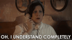 Oh I Understand Completely Allison Tolman GIF