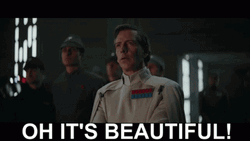 Oh It's Beautiful GIF