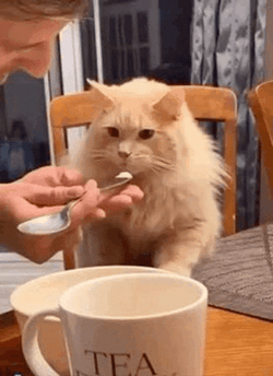 Oh It's So Bad Sniff GIF