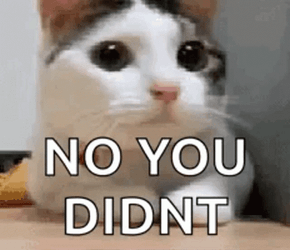 Oh No You Didn't Cat Head Shake GIF